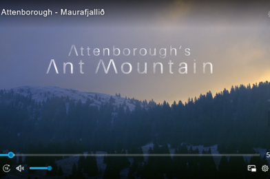 Maurafjall Attenborough á Rúv